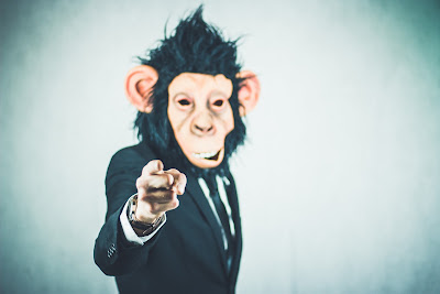 Primates conversando
